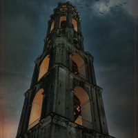 Dark Tower - Andi Shapiro